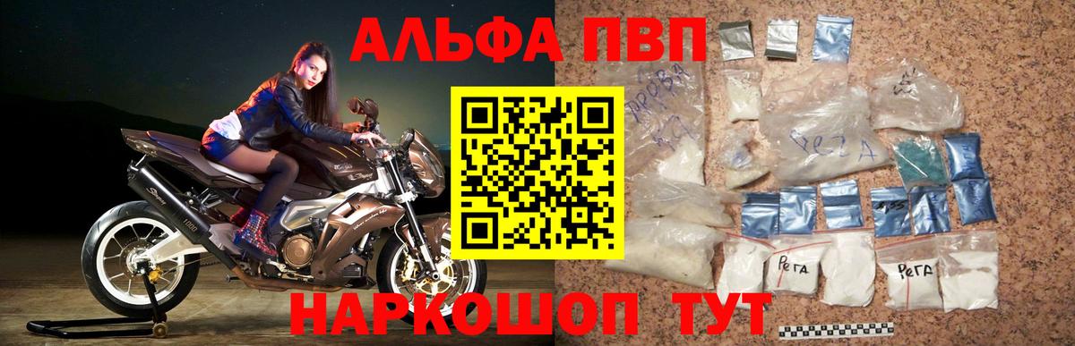 Альфа ПВП СК Новоалександровск