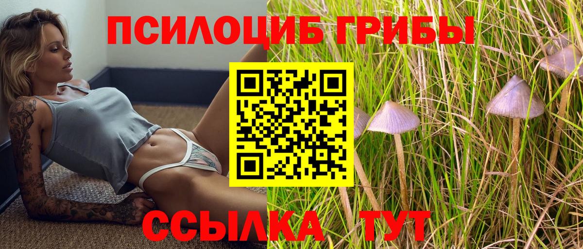 Галлюциногенные грибы Psilocybine cubensis  Вход с VPN  Новоалександровск 