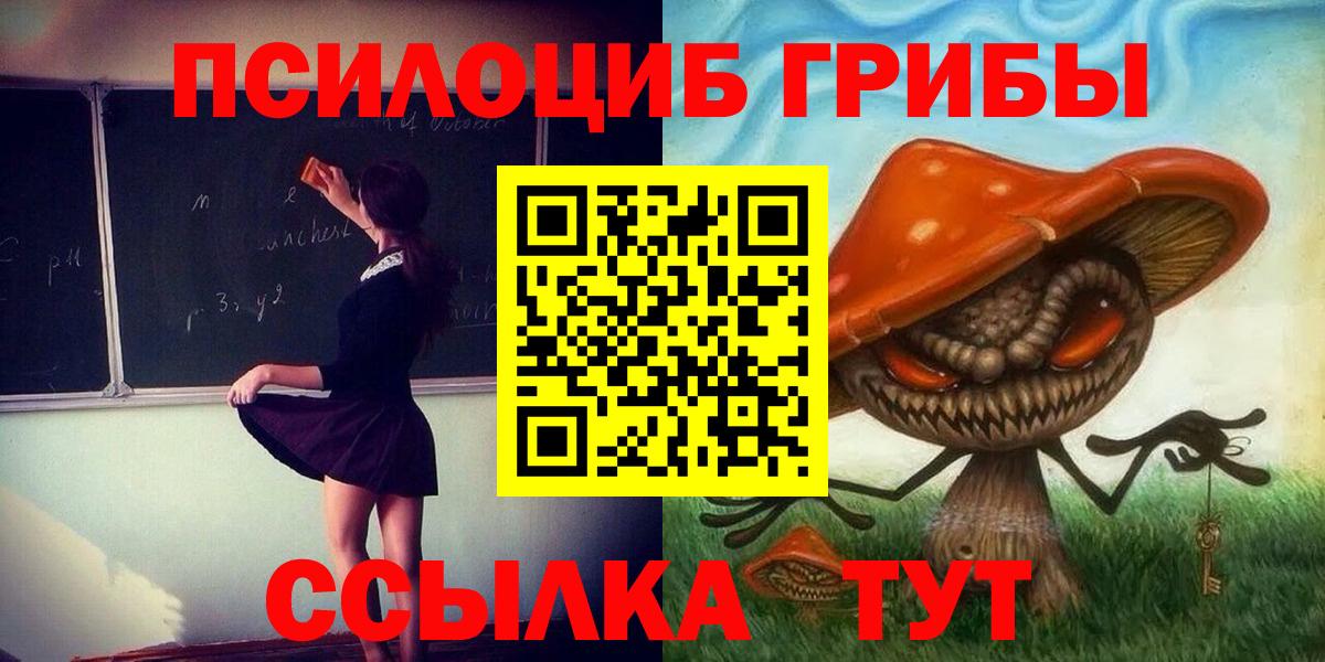 Галлюциногенные грибы Psilocybe Новоалександровск
